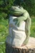 FroschSteine.jpg