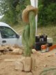 Cowboyhut auf Kaktus.jpg
