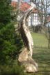 Blatt1-1.jpg