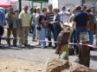 SaaleOrlaSchau2.jpg